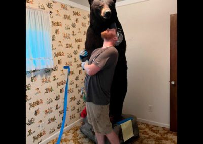 Bear-Removal-Livonia-MI
