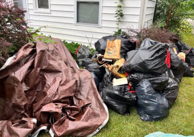 junk-removal-professionals